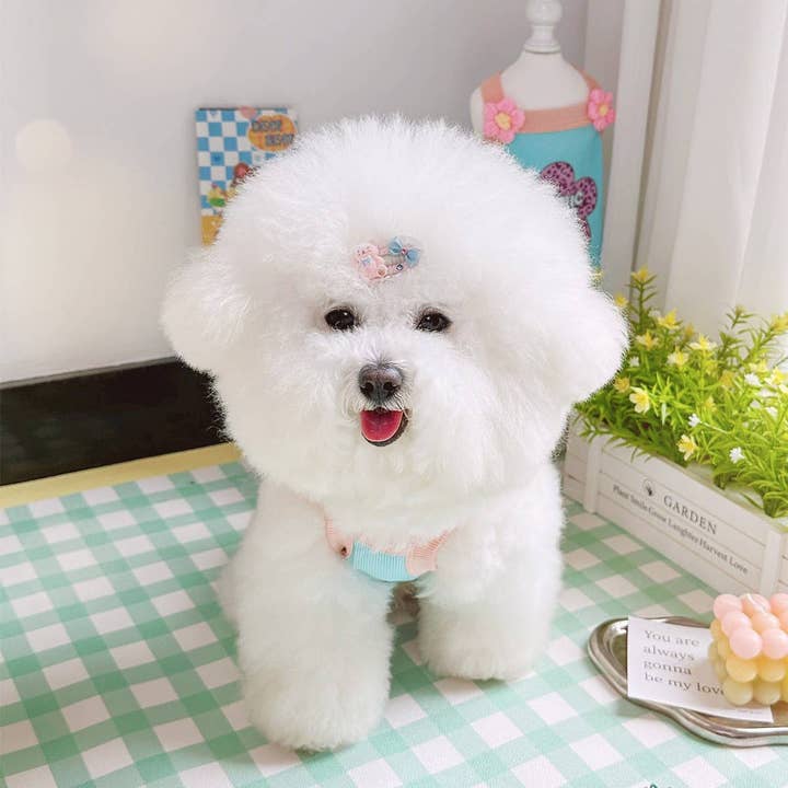 Blue New Ins-Style Pet Vest – Breathable Ice Silk Cotton_CWMM5852 for wholesale on Faire10