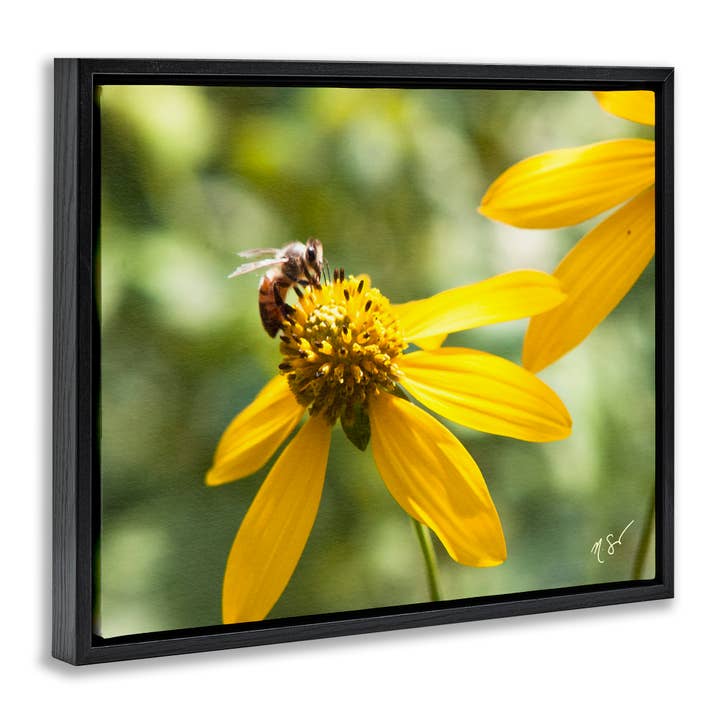 Stupell Industries - Wholesale Wall sign - Bee on Daisy Photography - Framed Wall Art17