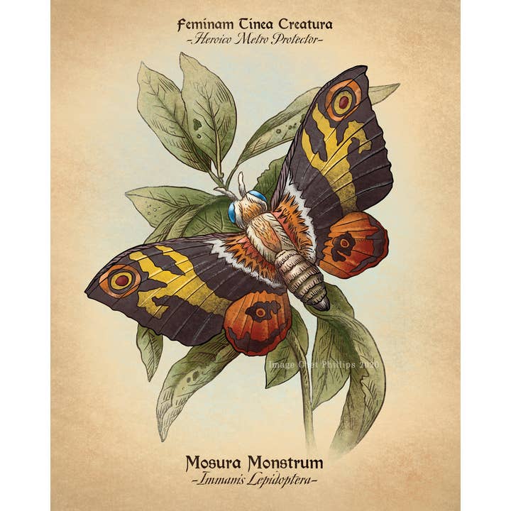 ChetArt - Wholesale Art Print - Mothra Study 8" x 10" print
