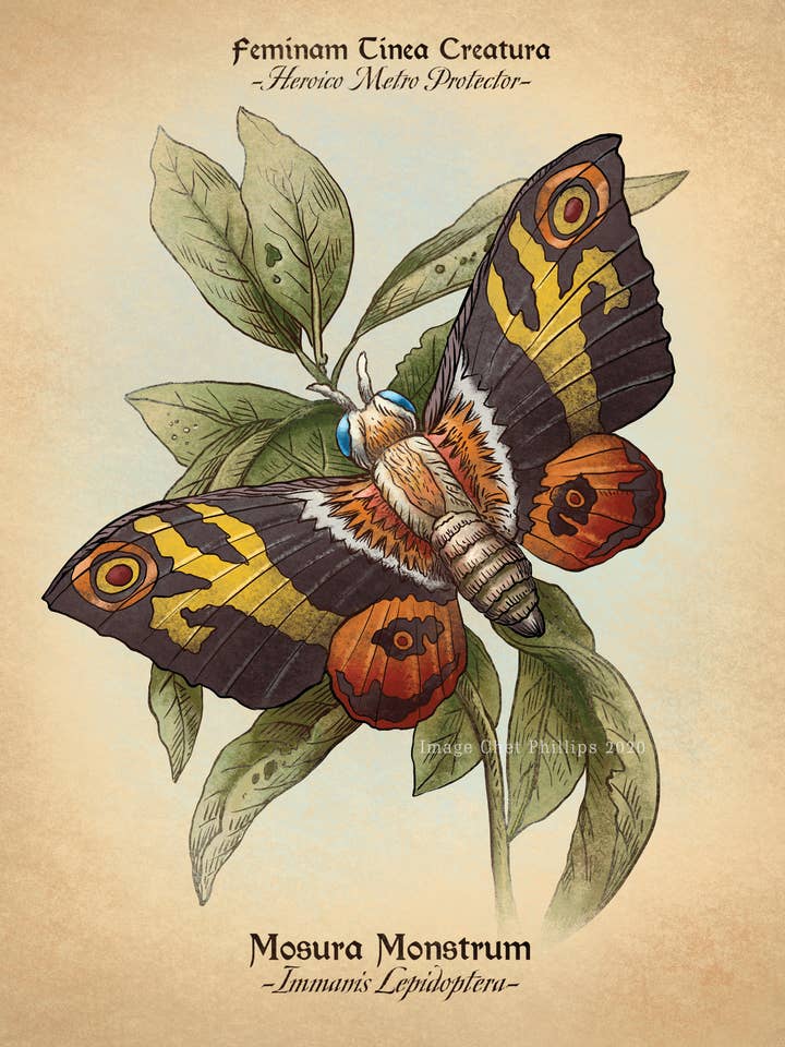 Mothra Study 8" x 10" print for wholesale by ChetArt