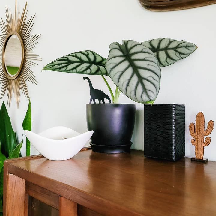 Leaf & Node - Wholesale Plant Pot - Dinosaur Indoor Plant Accessory Stake - Brachiosaurus1