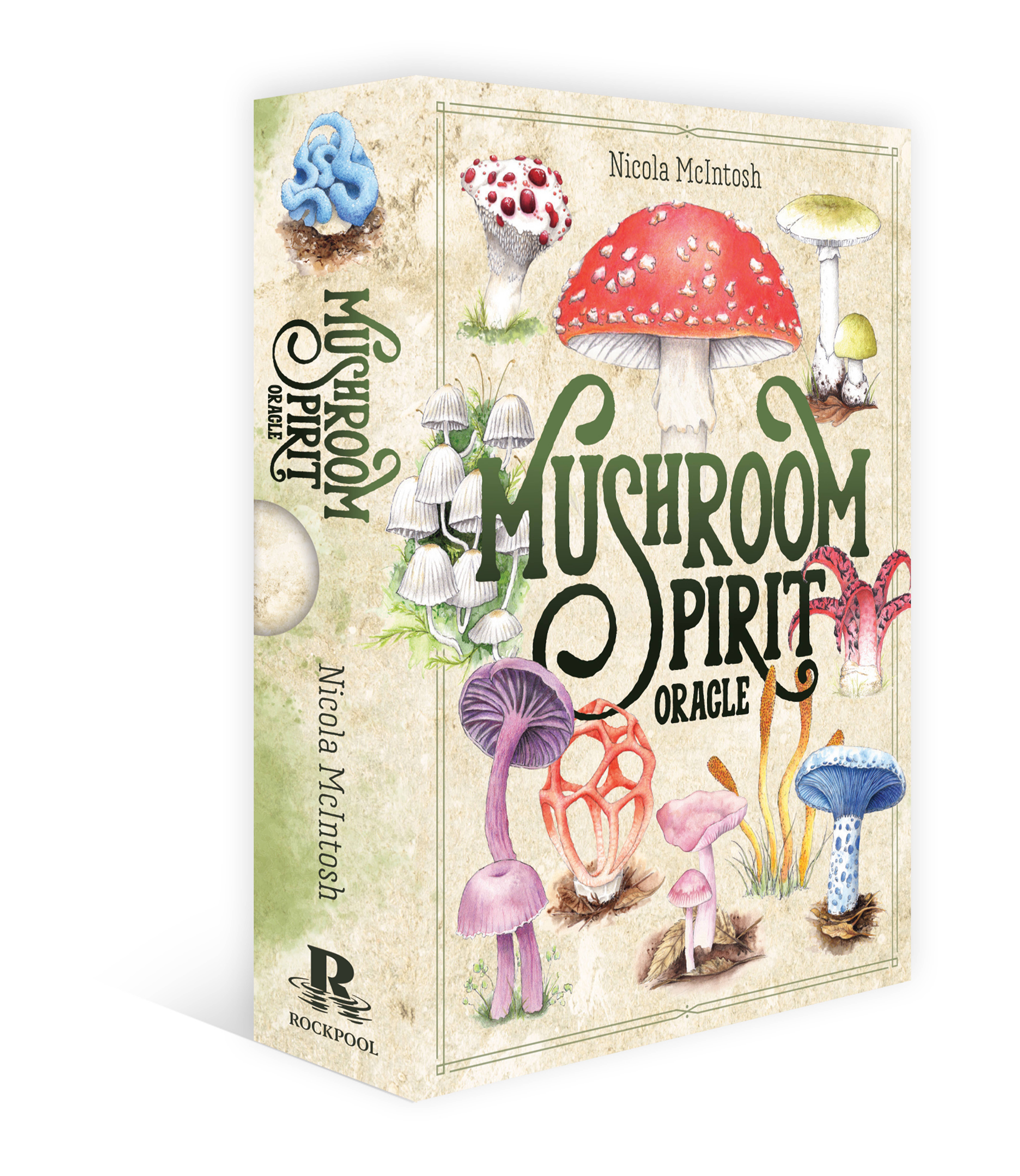 ROCKPOOL PUBLISHING - Vente Cartes de tarot - Mushroom Spirit Oracle (36 cartes et livre de 112 pages)1