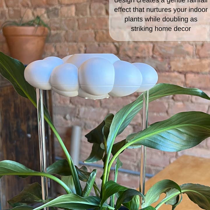 The Cloud Makers - Wholesale Watering Can - Original Dripping Rain Cloud
