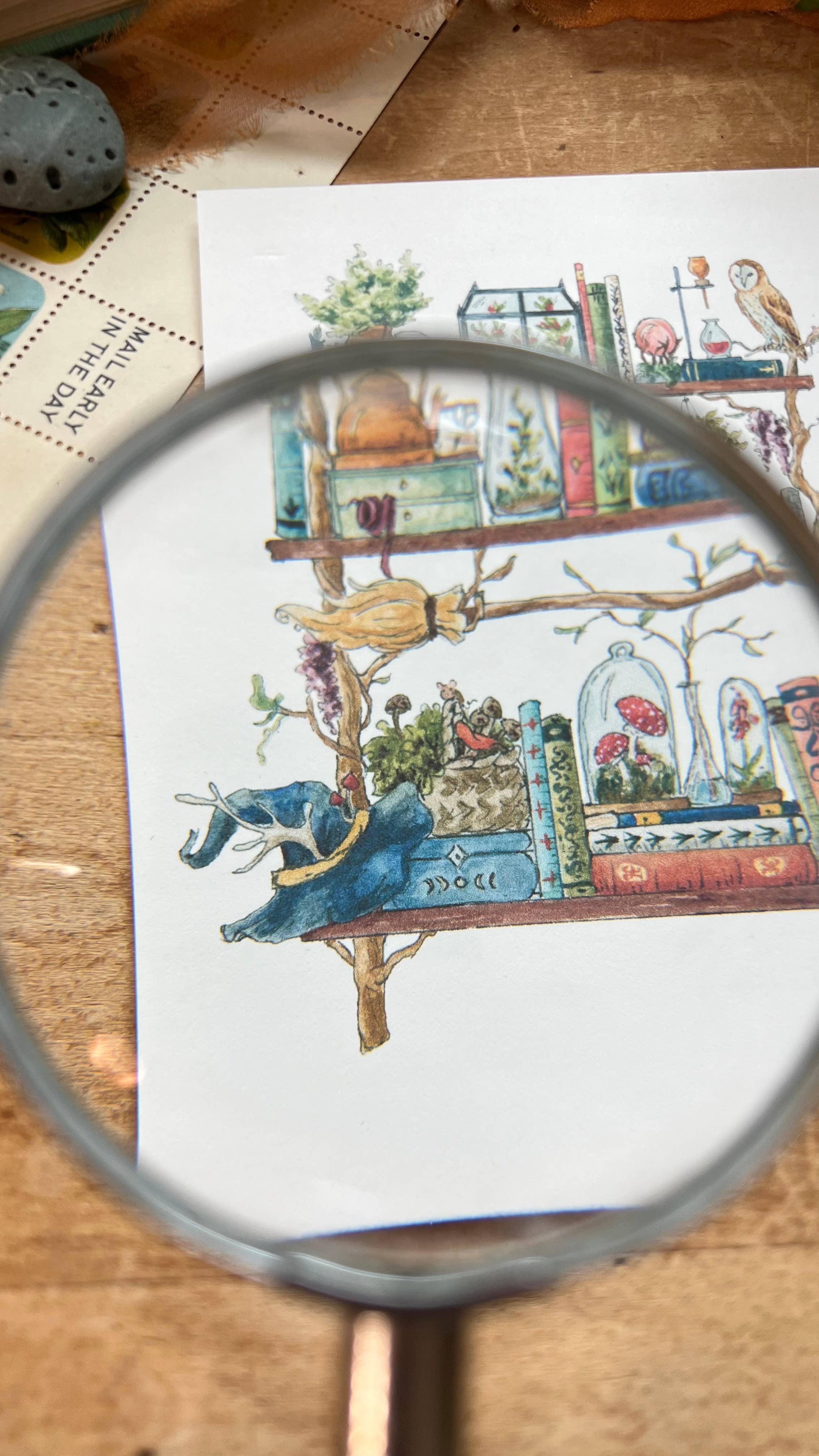 Lizzy Gass - Wholesale Postcard - The Forest Witch's Shelves Postcard2