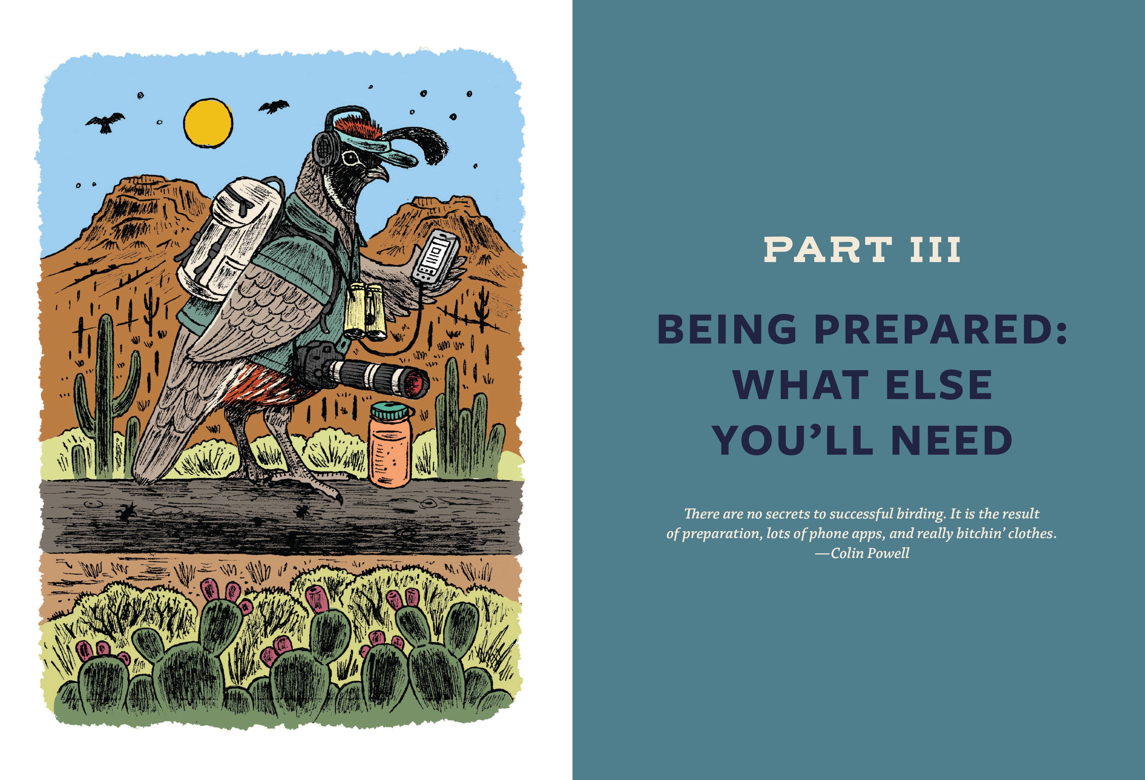 Mountaineers Books - Wholesale Nature & Outdoors - Birding for Boomers6