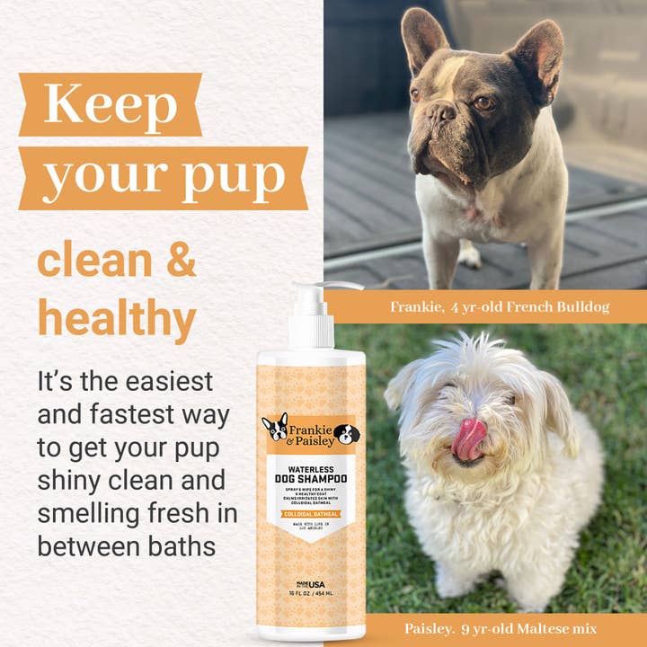 Frankie & Paisley Pet Products - Wholesale Pet Shampoo - Dog - Waterless Dog Shampoo - Colloidal Oatmeal - 16oz6