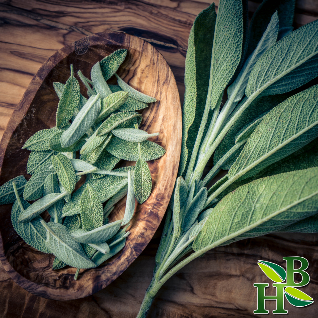 Herb To Body - Wholesale Herbs - Sage Leaf C/S3