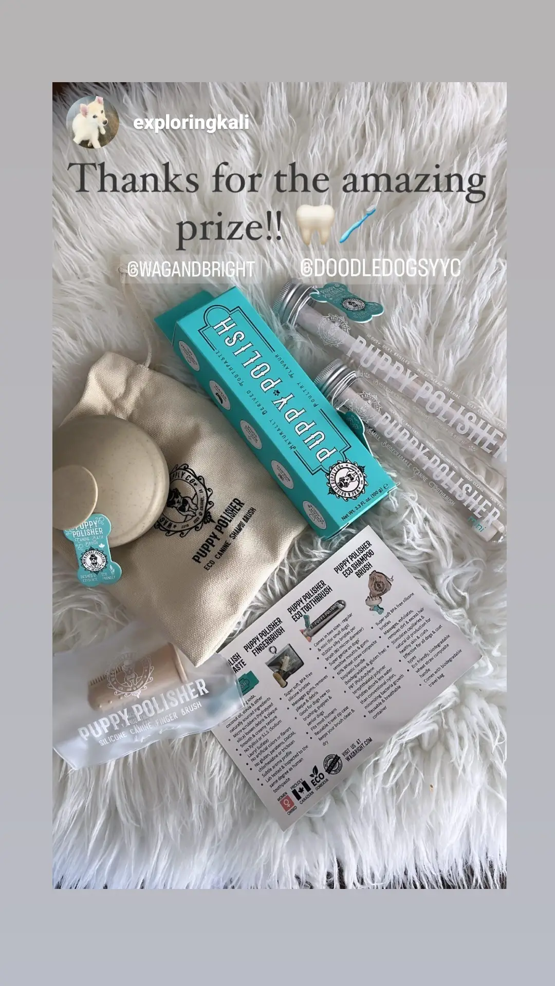 Wag & Bright Supply Co. - Wholesale Pet Brush - Cat/Dog - Puppy Polisher Eco Shampoo Brush9