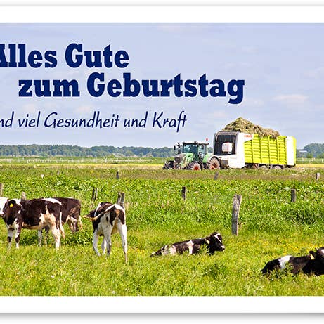 Geburtstag/Grußkarte/Landwirtschaft/Tiere/Kühe/519154 für den Großhandel von Yabué