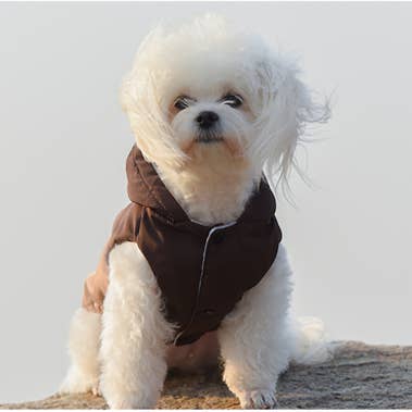 Matching Waterproof Dog Clothes for wholesale by Amomi