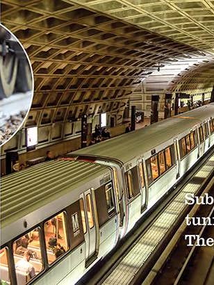 Fröplantor: Tunnelbanetåg för wholesale av The Creative Company