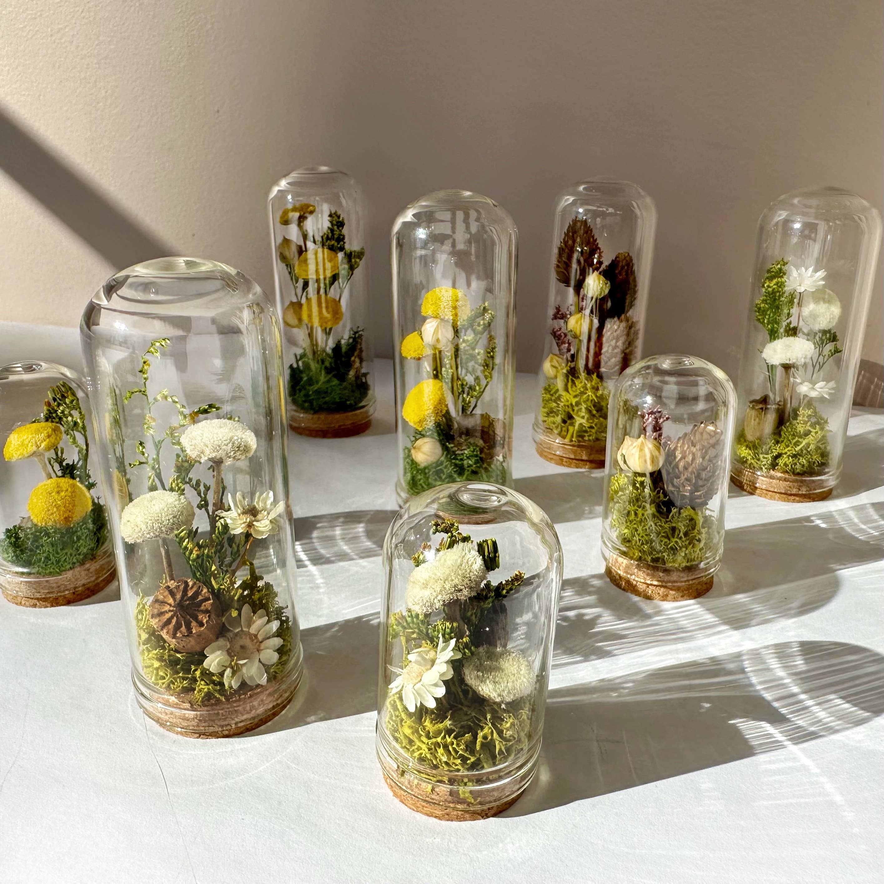 CA Studios - Wholesale Terrarium - Meadow Mix Mini Glass Cloche Terrarium w. Dried Florals3