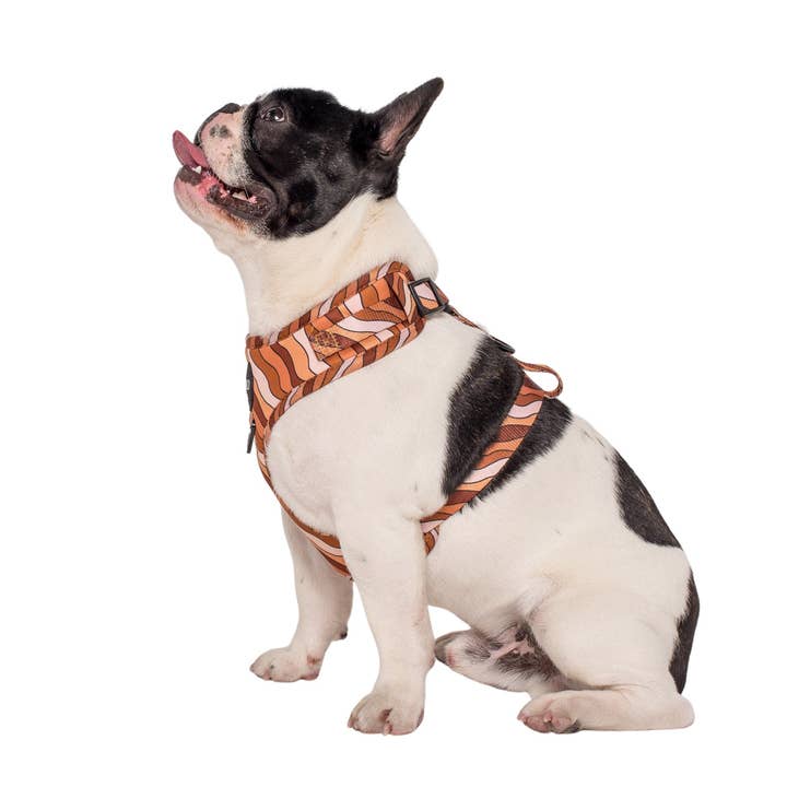 Pablo & Co. Boutique - Wholesale Pet harness – Dog - Espresso Swirls: Dog Adjustable Harness6