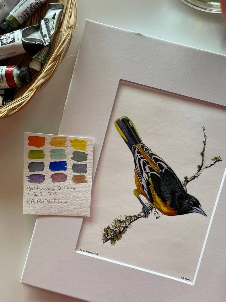 Baltimore Oriole - Giclee Print for wholesale by Bird Art by KB