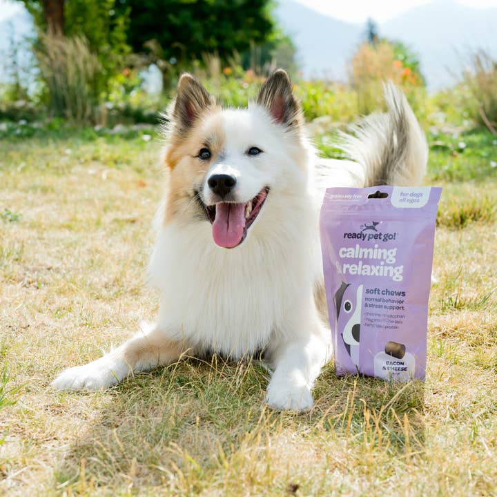 Ready Pet Go - Wholesale Pet treats – Dog - Calming & Relaxing Dog Chews for Anxiety & Stress Relief6