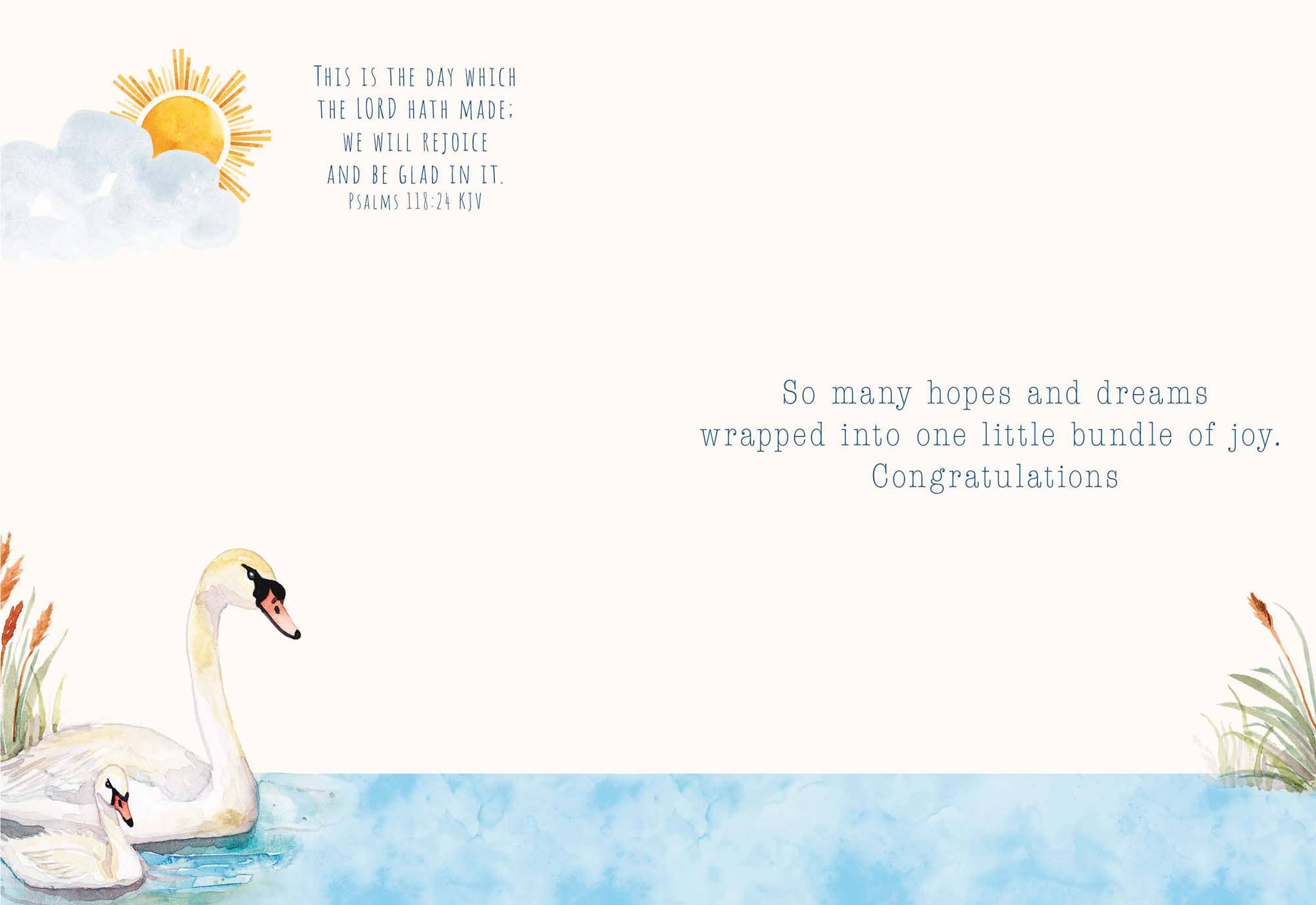 Crown Point Graphics - Wholesale Baby Card - Bundle of Joy - Box of 12 Assorted New Baby Cards15