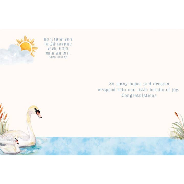 Crown Point Graphics - Wholesale Baby Card - Bundle of Joy - Box of 12 Assorted New Baby Cards15