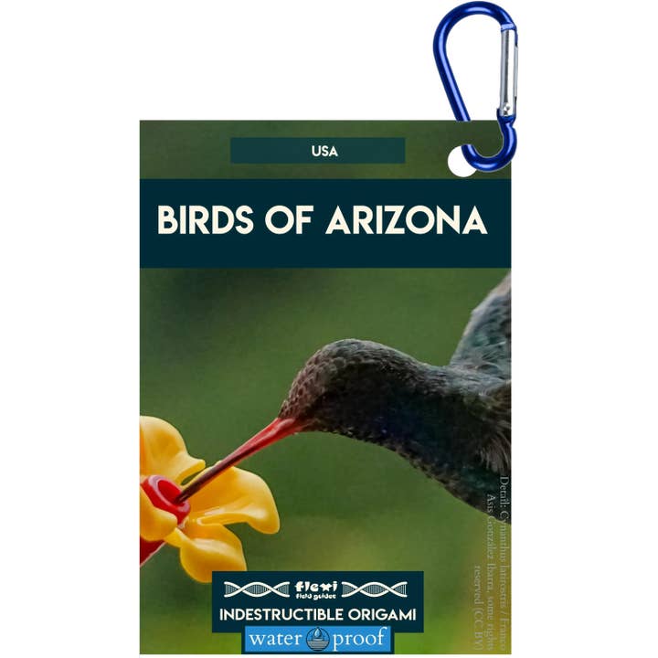 Birds of Arizona-Indestructible Origami for wholesale by Flexi Field Guides