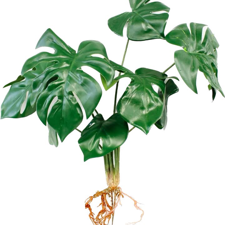 Follaje de planta Monstera artificial de 15 pulgadas con raíces y 8 hojas para venta al por mayor de Angel Isabella