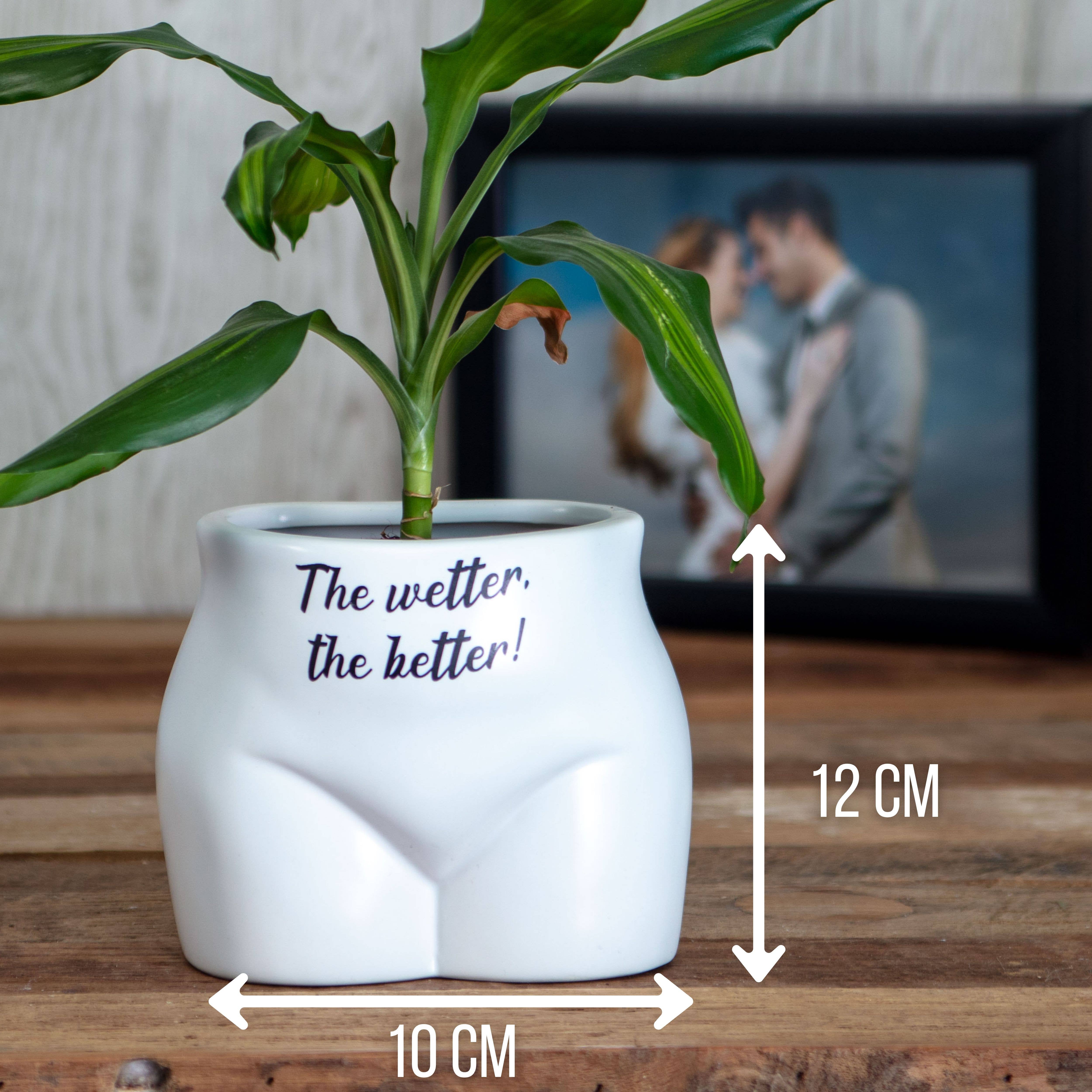 Boxer Gifts - Wholesale Plant pot - The Wetter The Better Put Some Plants On - Novelty Planter3