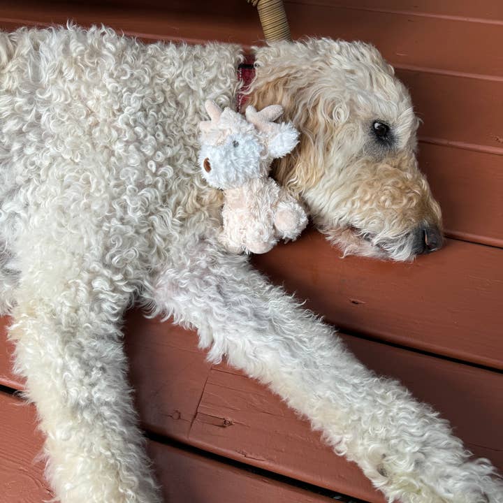 Fur Elise Pets - Wholesale Pet Plush Toy - Dog - Koko Mini Plushie11