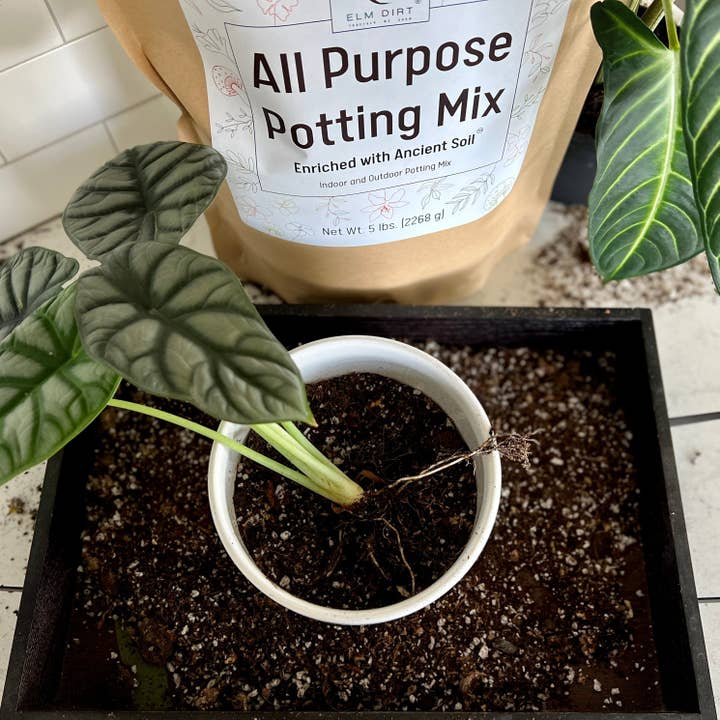 Elm Dirt - Wholesale Planting/Potting Soil - All-Purpose Soil Mix3