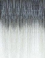 Lake St Louis Beauty Supply LLC – Engroshandel Hårforlængelse – Ruwa Forstrakt 24"(48) Fletning hår12