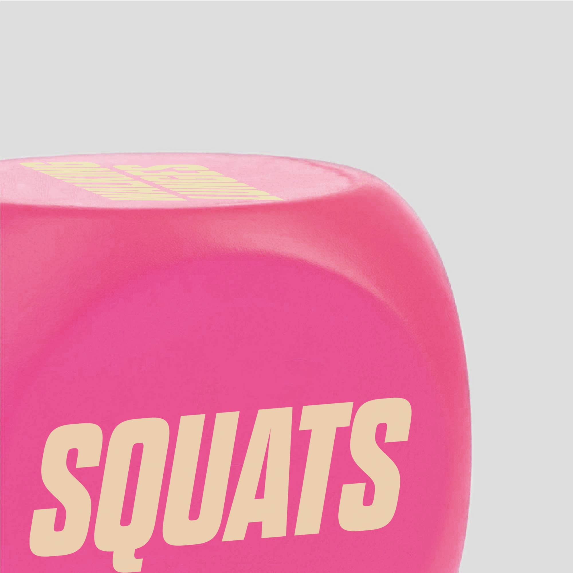 Phoenix Fitness - Wholesale Fitness Equipment - Fitness Routine Exercise Dice - Pink4