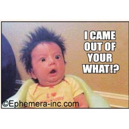 Magnet-I came out of your what!? for wholesale by Ephemera
