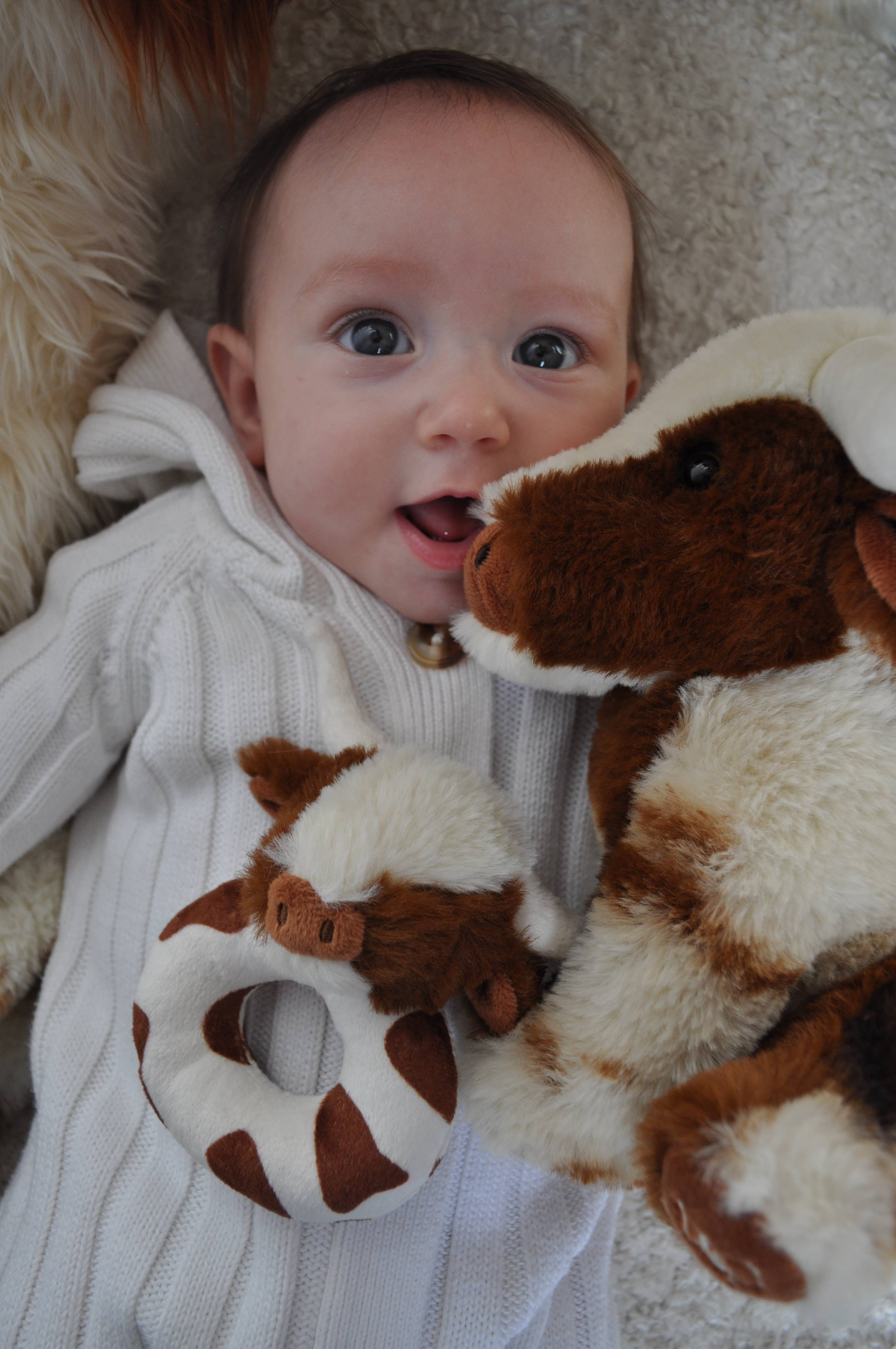 Jomanda Soft Toys & Accessories - Wholesale Handheld Rattle - Baby - Texas Longhorn Highland Brown Cow Baby Plush Rattle 10cm4