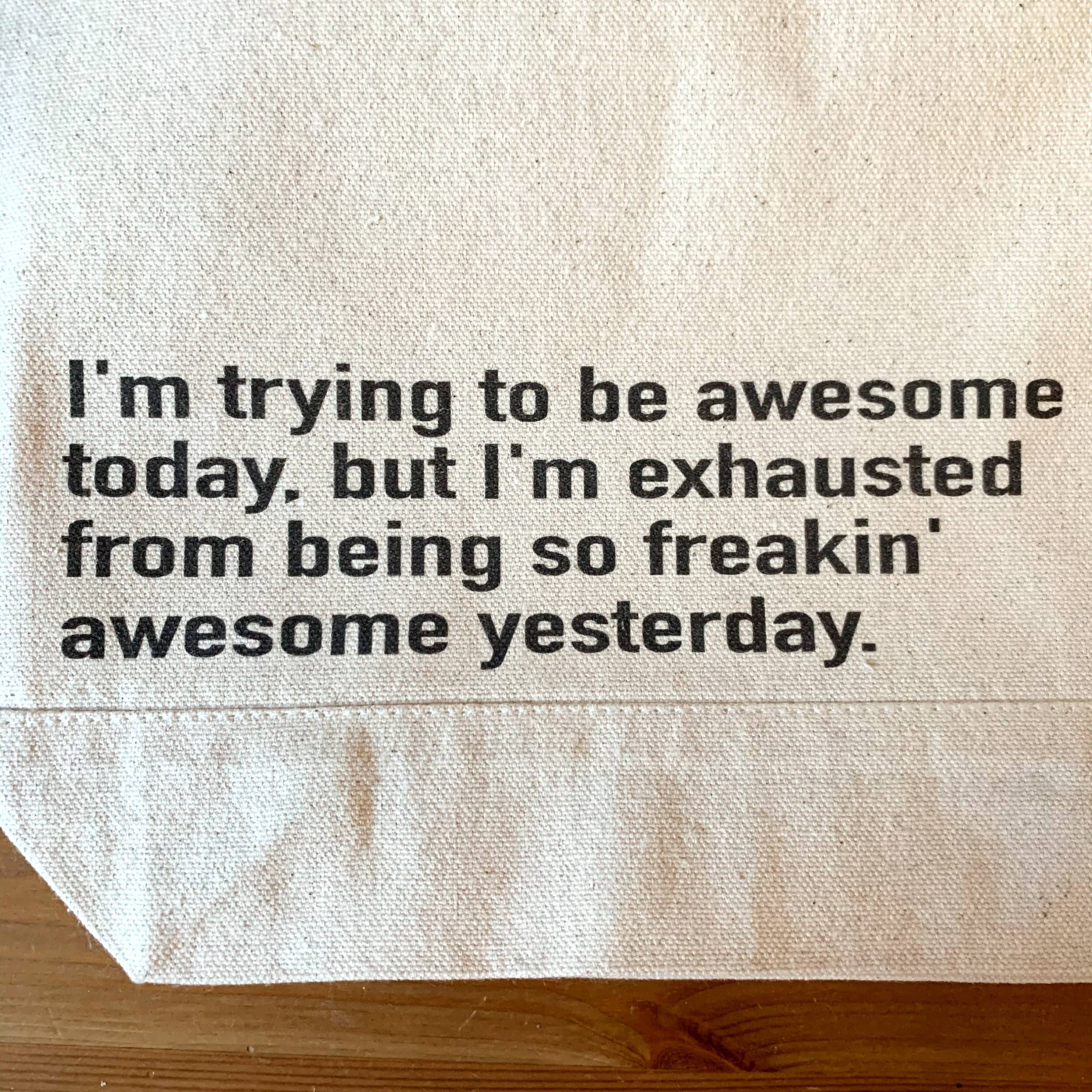 Shakes + Speares - Wholesale Pouch - Unisex - Pouch - Large Humor - Exhausted3