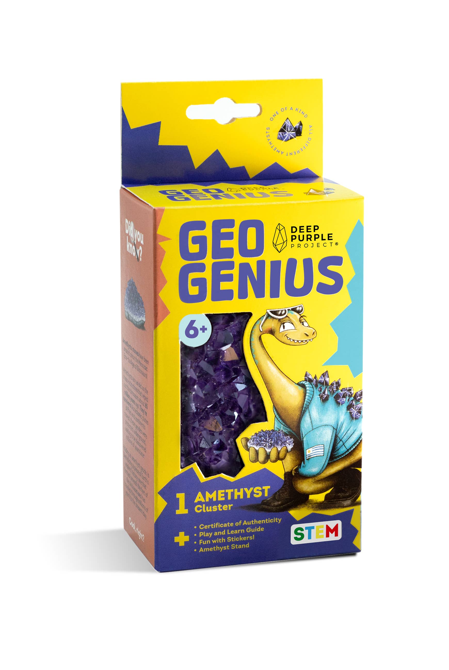 Deep Purple Project - Wholesale Brain Game - Kids - Amethyst Discovery Kit, STEM Kit for Kids8