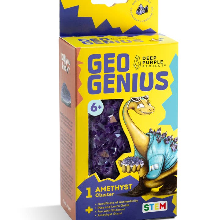 Deep Purple Project - Wholesale Brain Game - Kids - Amethyst Discovery Kit, STEM Kit for Kids8
