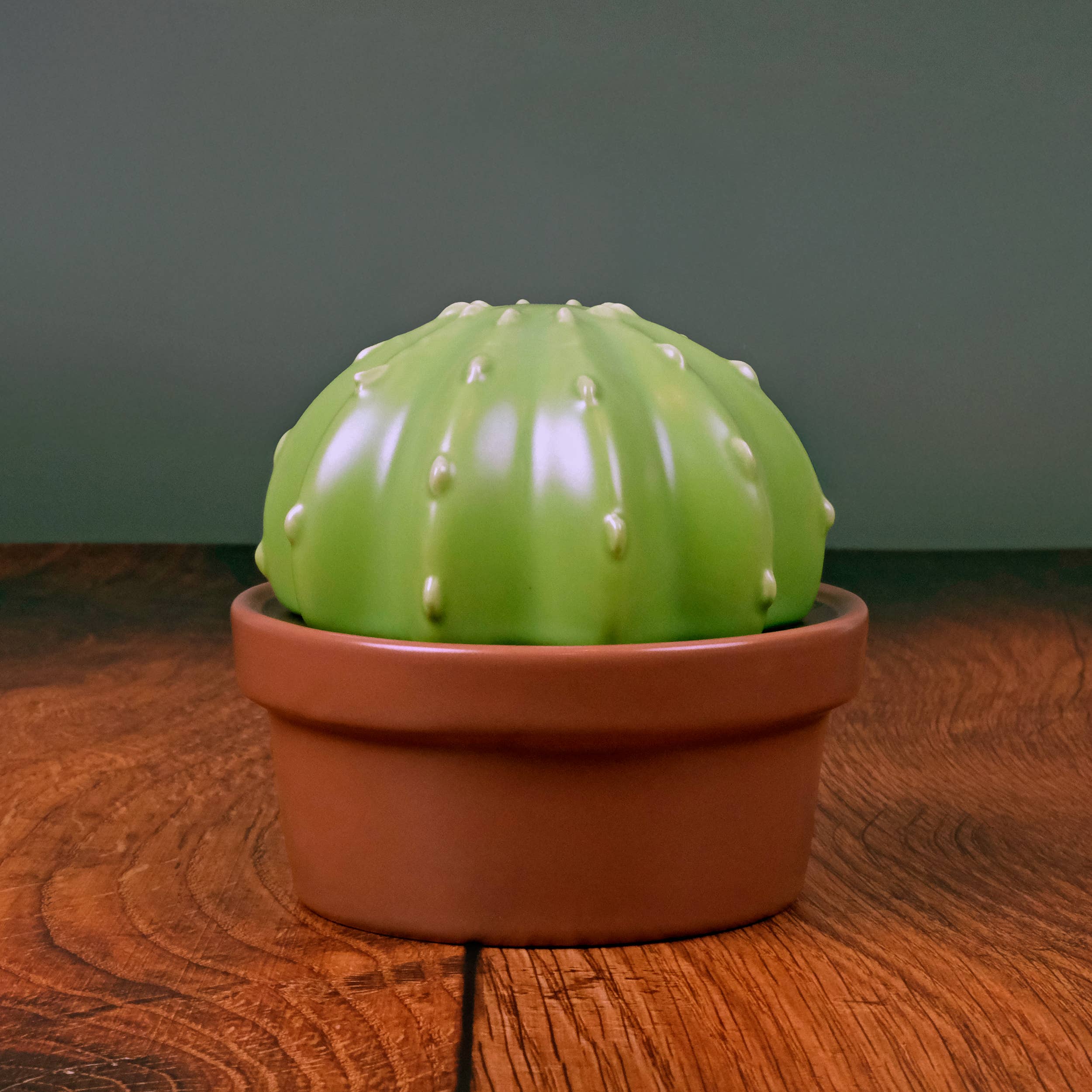 Fred & Friends - Wholesale Butter Dish - HOUSE PLANT - Ceramic Cactus Butter Storage8