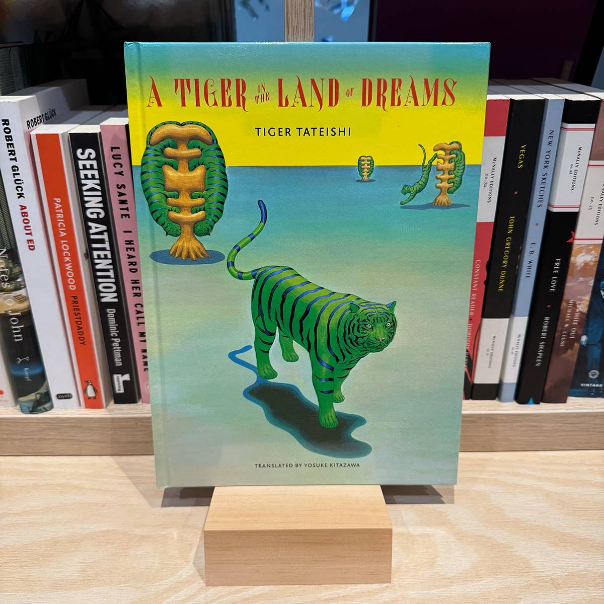 50 Watts – Großhandel Auslagebuch – Ein Tiger im Land der Träume Bilderbuch von Tiger Tateishi1