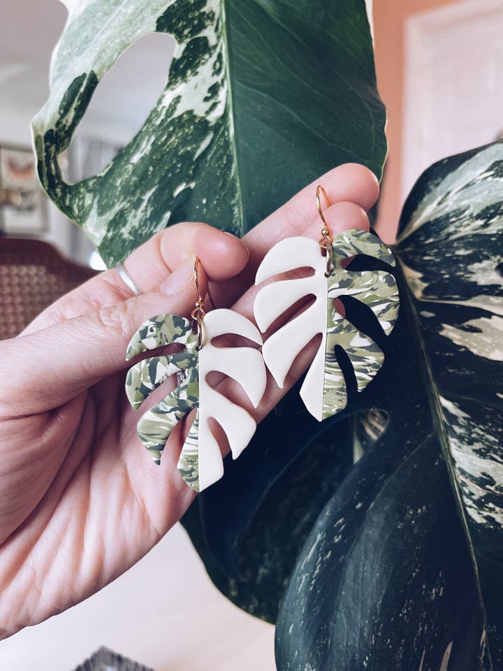 Monstera Varigated Albo Half Moon | Växtörhängen för wholesale av The Butterfly Effect