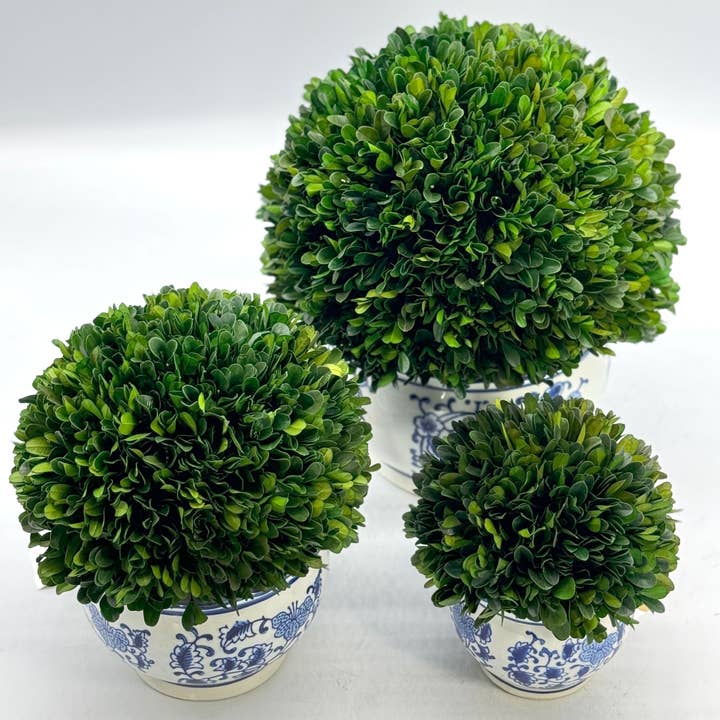 Galt International Company - Wholesale Artificial Plant - Boxwood Ball Topiary in Round Bulb Blue & White Ceramic Pot5