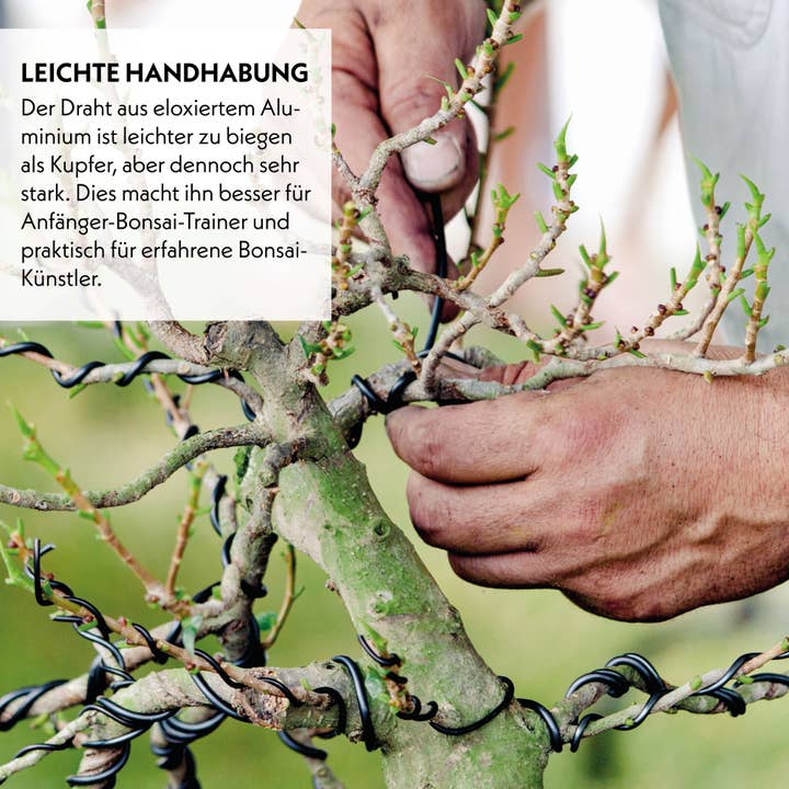 Vendix GmbH - Wholesale Garden Tool - HappySeed 10m Anodized Aluminum Bonsai Wire, Black4