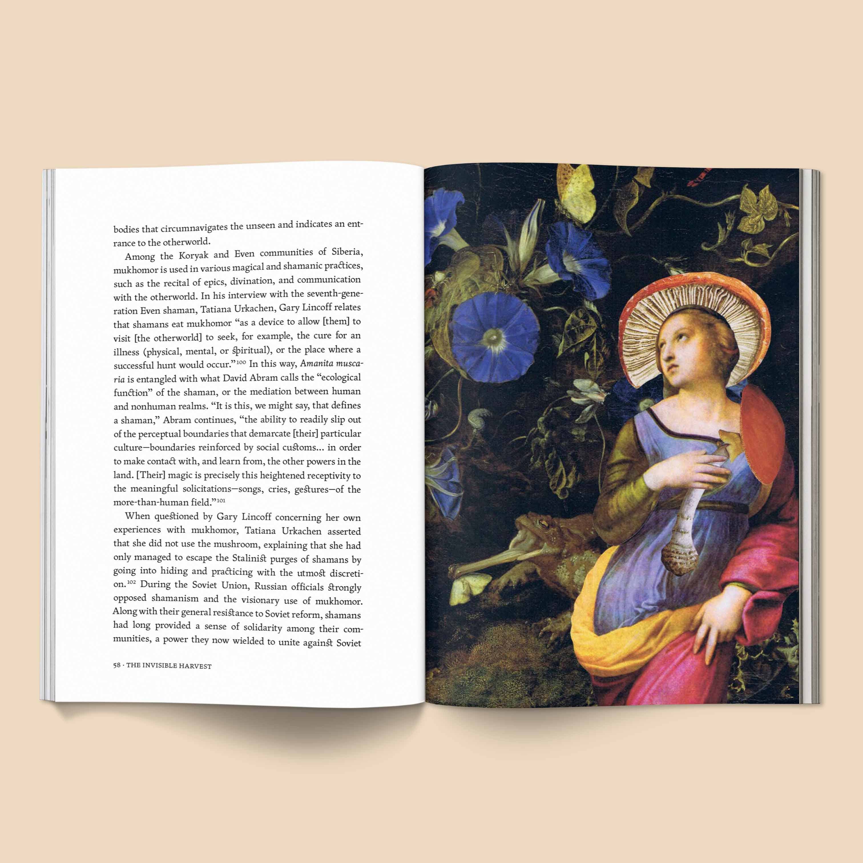 Broccoli - Vente Folklore et mythologie - The Invisible Harvest - Livre1