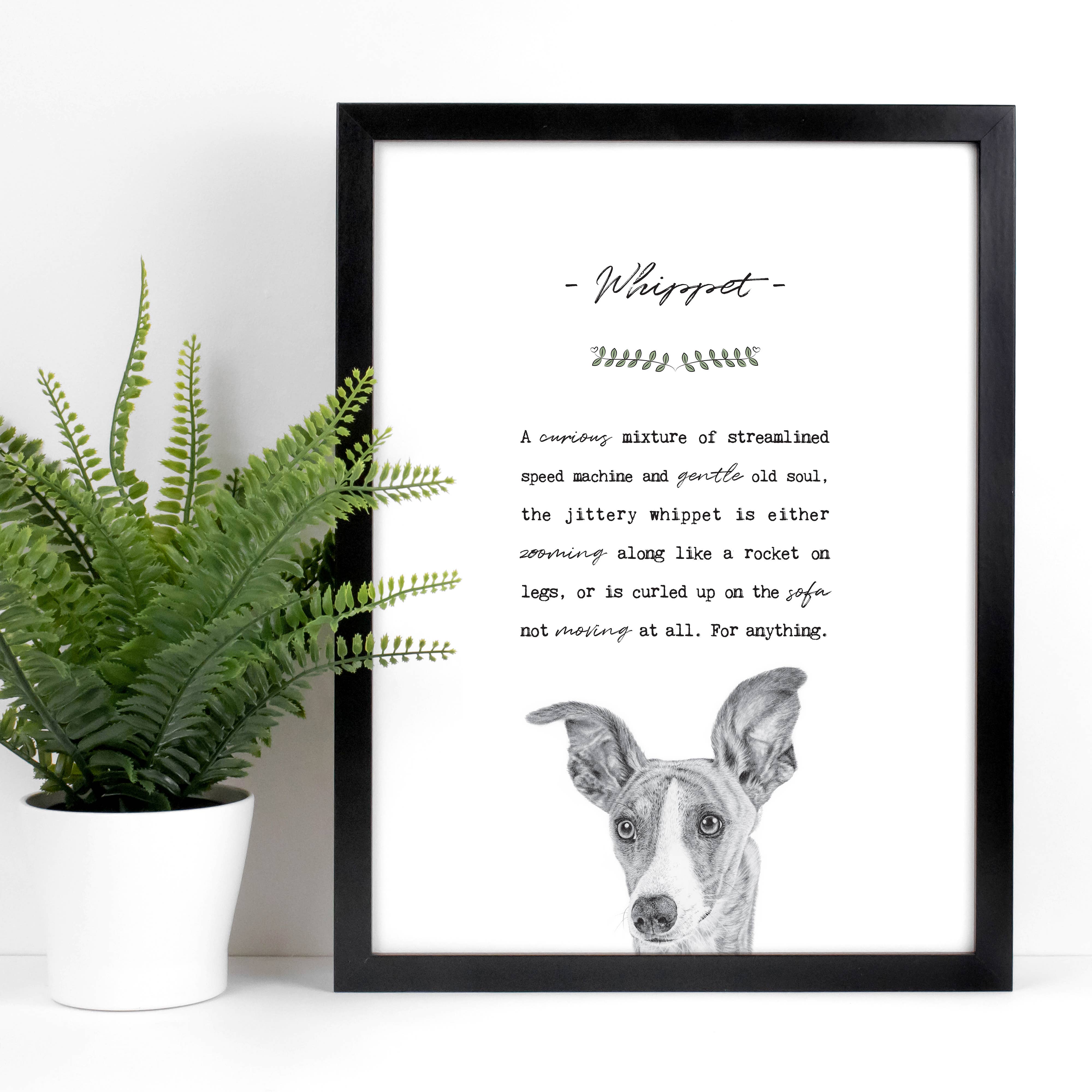 Coulson Macleod (U.S. Duties Paid) - Wholesale Art Print - Best-Selling 'Pooch' Dog Prints with Wooden Display Box21