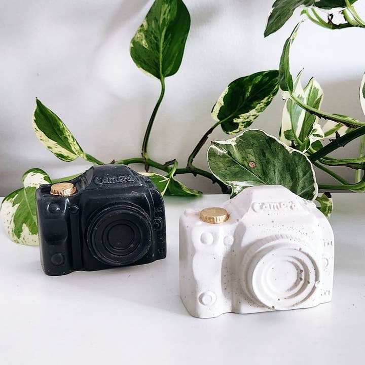 Mini Camera Decor for wholesale by Plant 'er Here