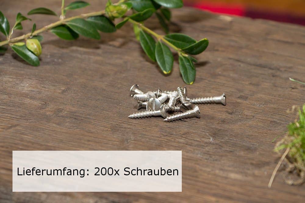 Antikas - Wholesale Decorative Figurine - 200X Screws for Pan Head Slotted Wood (Din 95) Brass