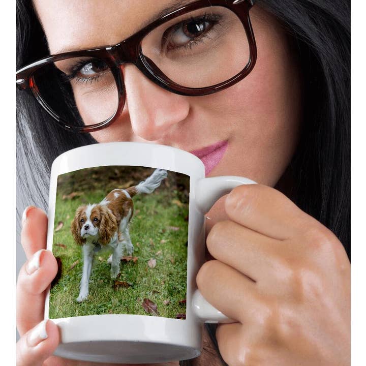 3dRose - Wholesale Coffee Mug - 3dRose, Six month old Cavalier King Charles Spaniel puppy playing outside., Mug9