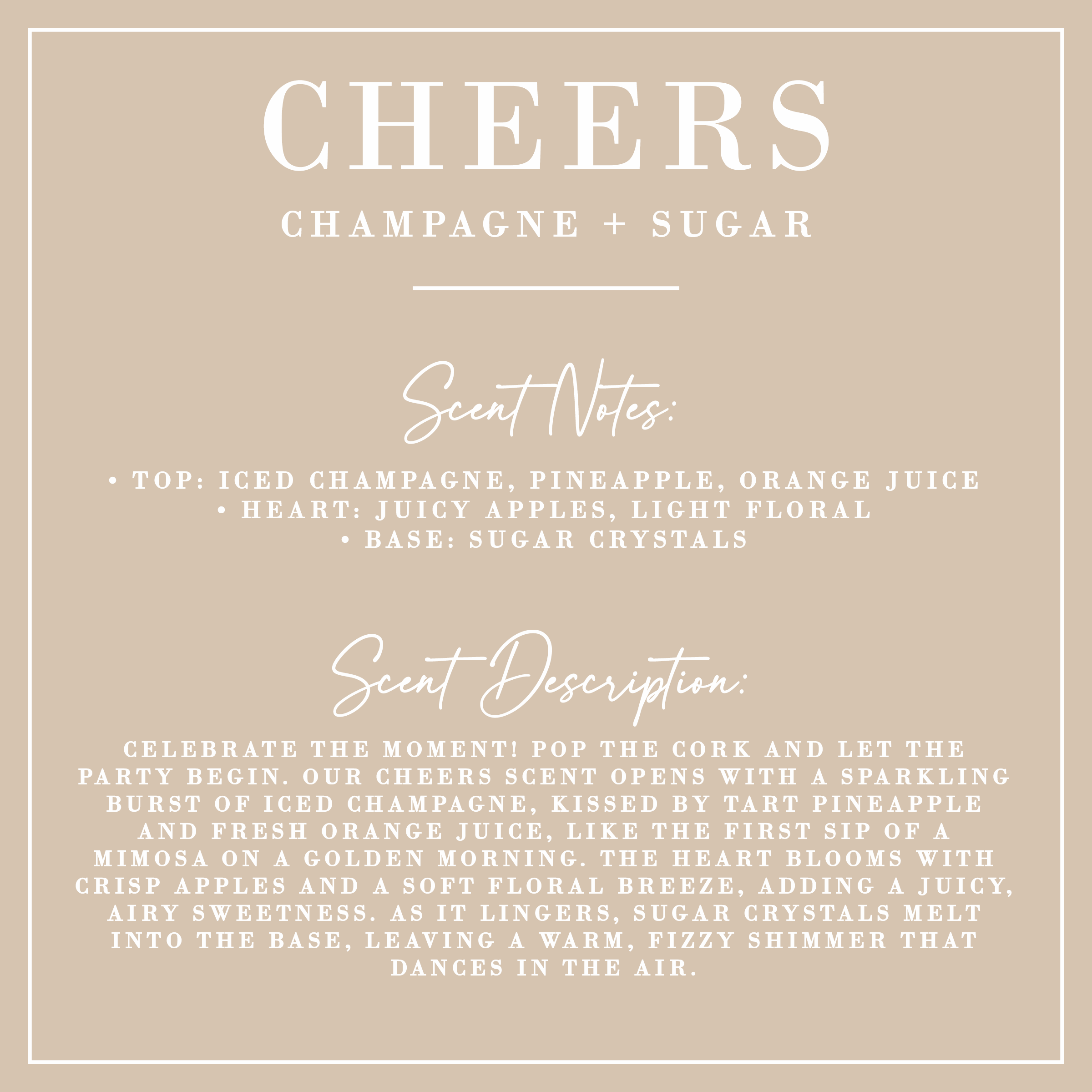 Porter Lane Home - Wholesale Jar/Filled Candle - CHEERS | Champagne + Sugar Candle | Signature Collection1