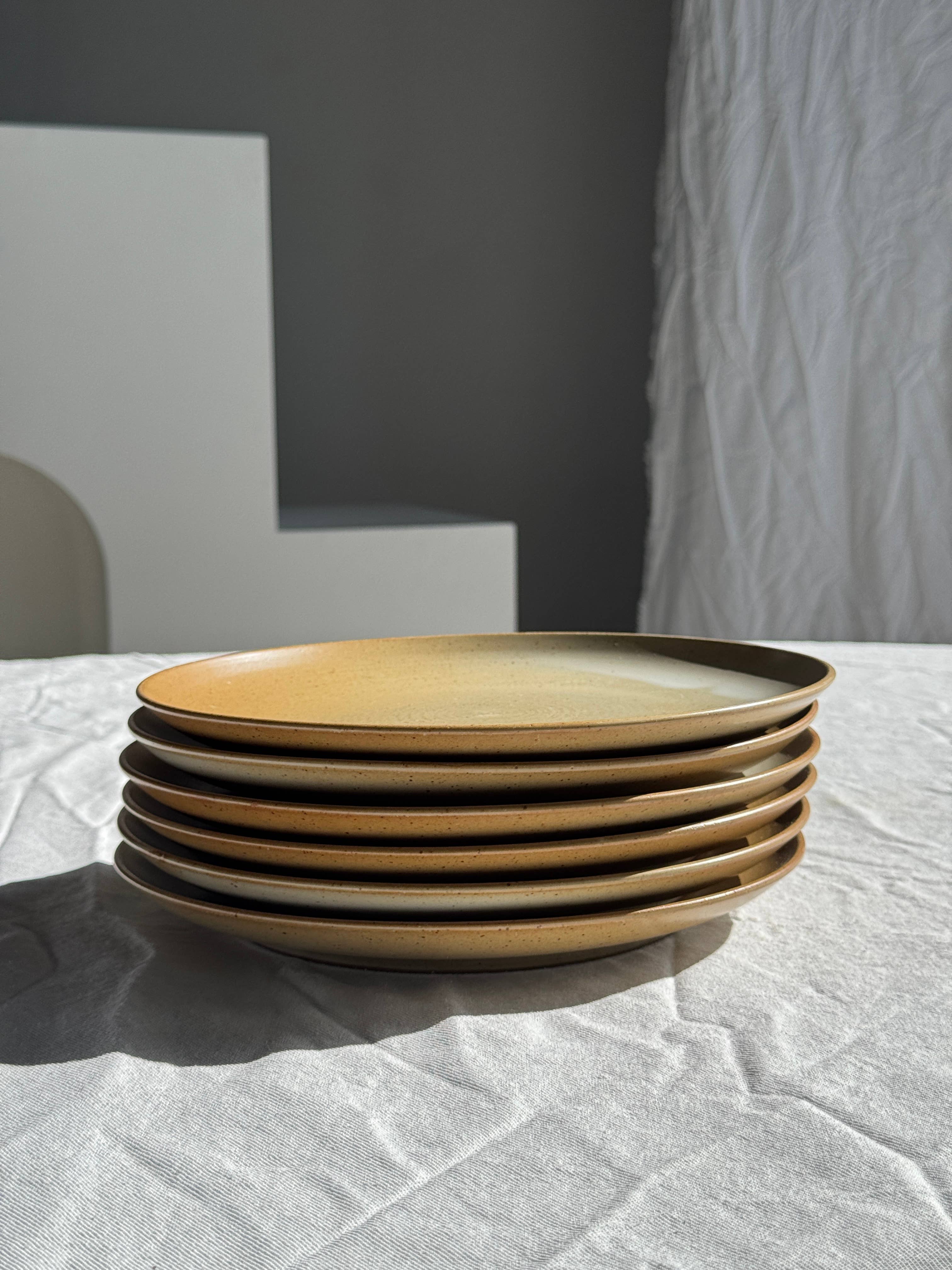 Office Objets - Wholesale Dinner Plate - Set of 6 stoneware plates Village France D2411