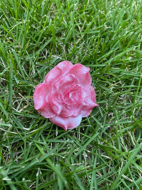 Rose Ring - Pink for wholesale by LOYAL MUSE