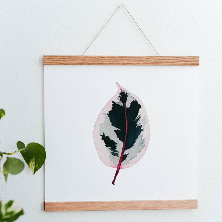 Ficus Ruby Houseplant Art Print for wholesale by Come Alive Studio
