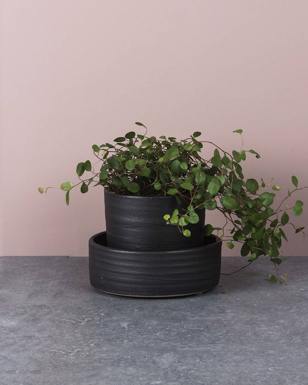 camillaengdahl - Wholesale Plant Pot - HERBPOT Large2