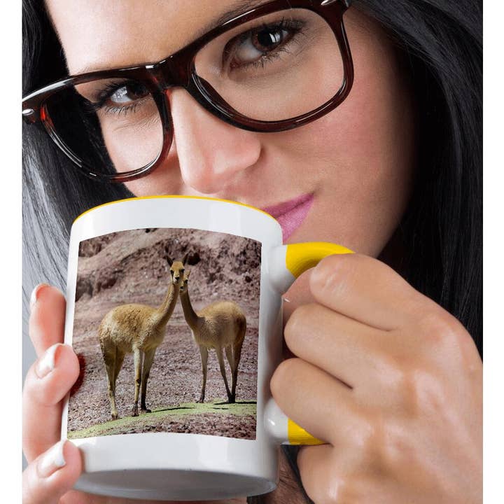 3dRose - Wholesale Coffee Mug - 3dRose, Vicuna in the Altiplano of Argentina near Tolar Grande., Mug1