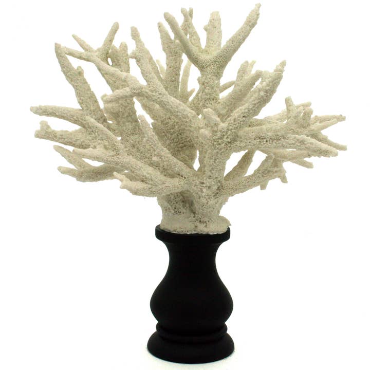 White Fire Coral on Pedestal for wholesale by Modern World by Contrast Inc.